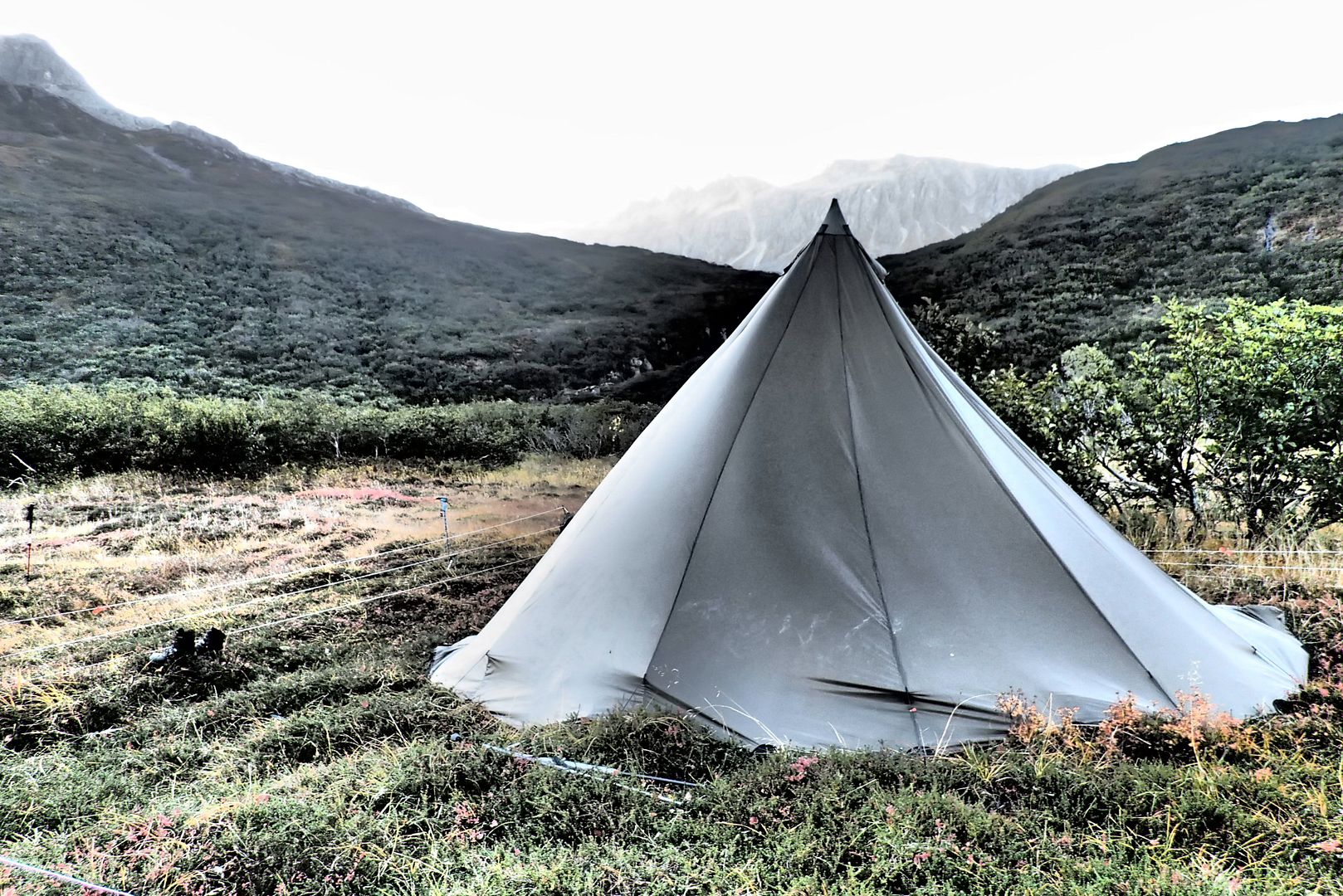 Best bear protection for tent/camp?